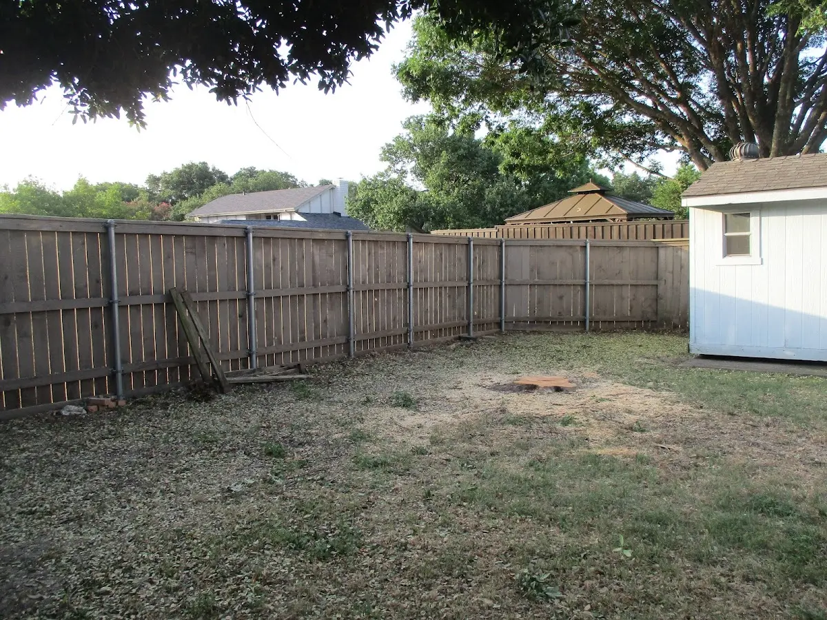 Cleared yard after professional tree removal in Turkey Creek