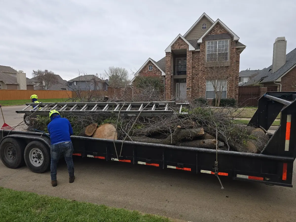 Expert Crown Reduction with proper safety equipment in Turkey Creek
